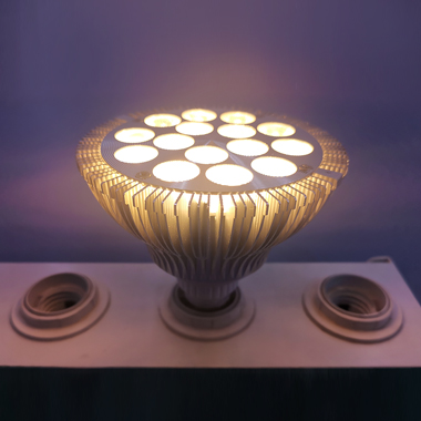 LED Grow Light Bulb PAR38 15W 2100K Plant Lamp for Greenhouse Hydroponic Spotlight